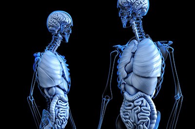 3D Medical Animation - Benefiting Health Care and Medicine