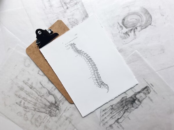 Chiropractic Care: Growing Option for Seniors in the U.K. and Worldwide